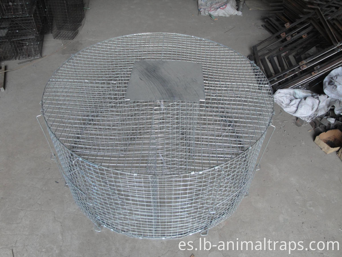 Live Animals Trap